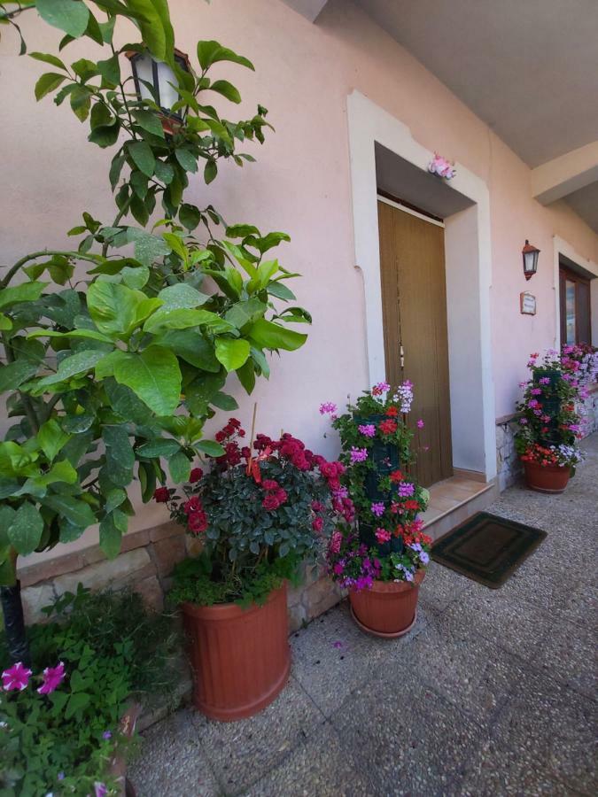Il Ritrovo Delle Volpi Bed and Breakfast Agerola Εξωτερικό φωτογραφία